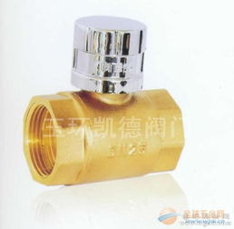 磁性管道鎖閉閥 品牌 磁性管道鎖閉閥 采購(gòu) 圖片 批發(fā)