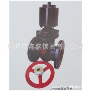 【廠家專業(yè)生產(chǎn)DN80磁性鎖閉閥 優(yōu)質(zhì)鎖閉閥】?jī)r(jià)格_廠家_圖片 -